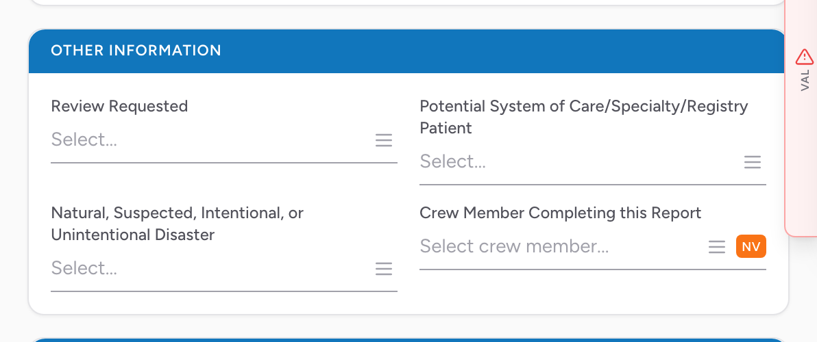 The Other Information section on the Outcome tab with Review Requested, System of Care flags, and crew member completing the report.